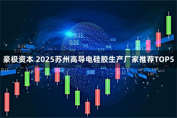 豪极资本 2025苏州高导电硅胶生产厂家推荐TOP5