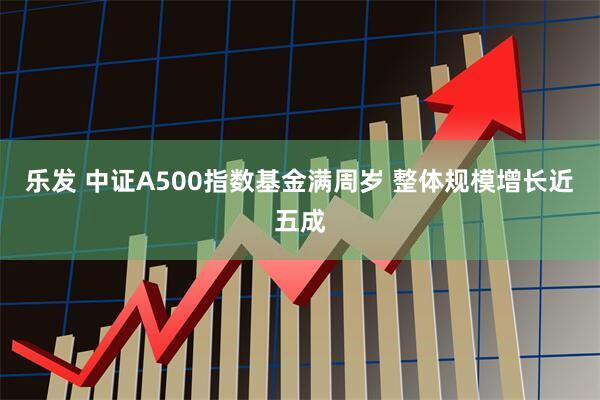 乐发 中证A500指数基金满周岁 整体规模增长近五成