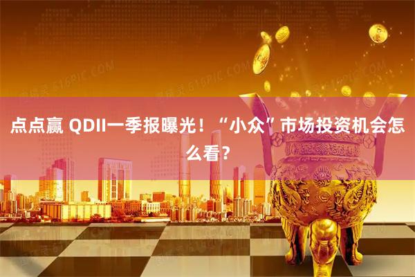点点赢 QDII一季报曝光！“小众”市场投资机会怎么看？
