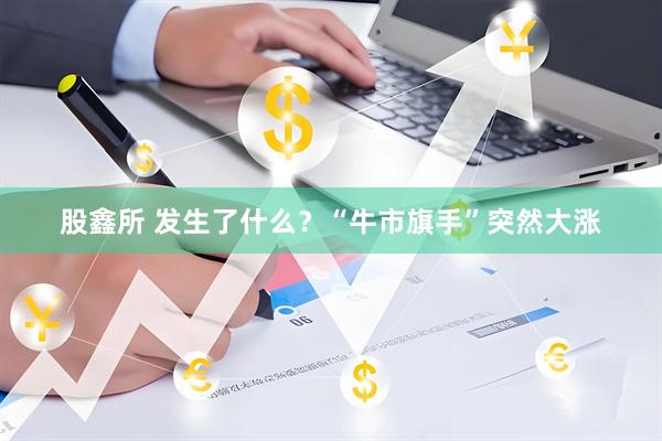 股鑫所 发生了什么？“牛市旗手”突然大涨