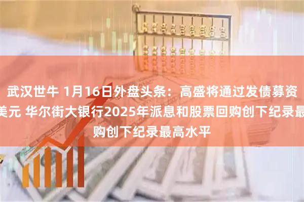 武汉世牛 1月16日外盘头条：高盛将通过发债募资160亿美元 华尔街大银行2025年派息和股票回购创下纪录最高水平