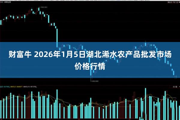 财富牛 2026年1月5日湖北浠水农产品批发市场价格行情