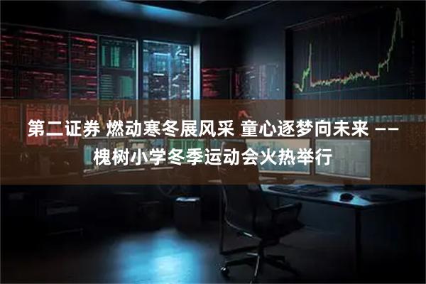 第二证券 燃动寒冬展风采 童心逐梦向未来 ——槐树小学冬季运动会火热举行