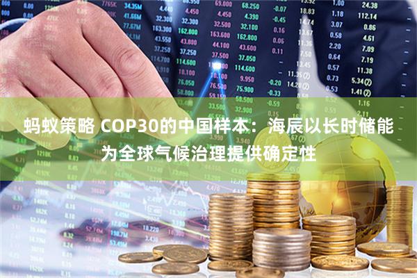 蚂蚁策略 COP30的中国样本：海辰以长时储能为全球气候治理提供确定性