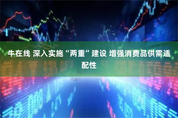 牛在线 深入实施“两重”建设 增强消费品供需适配性