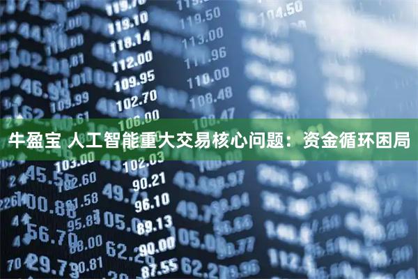 牛盈宝 人工智能重大交易核心问题：资金循环困局