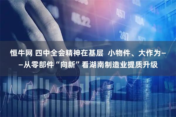恒牛网 四中全会精神在基层  小物件、大作为——从零部件“向新”看湖南制造业提质升级